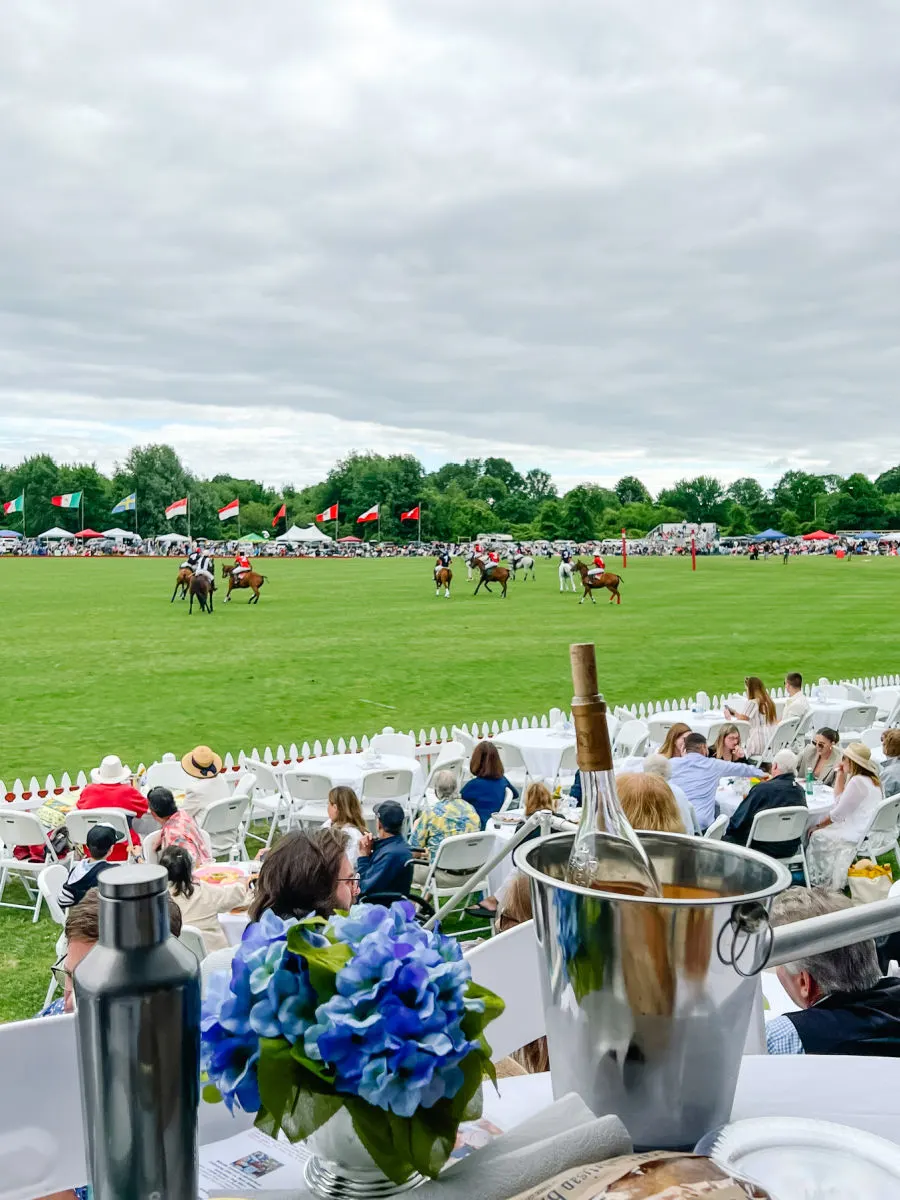 Newport Polo with wine in ice bucket in foreground