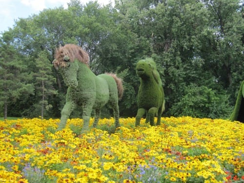 Horse sculptures Montreal Botanical Gardens