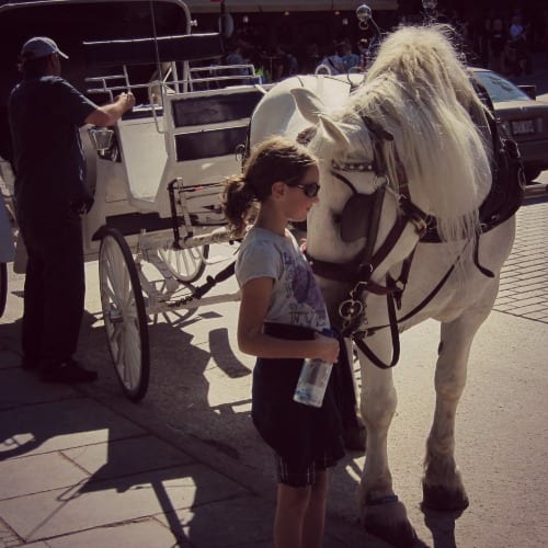 What to do in Montreal with Kids - Horse and carriage in Old Montreal 
