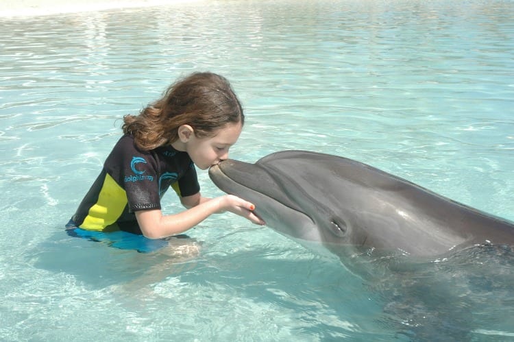 Dolphin Cay at The Atlantis Bahamas from Atlantis Bahamas Reviews via We3Travel.com