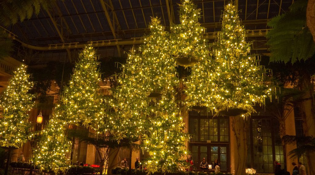 Floating christmas trees with lights at Longwood Gardens