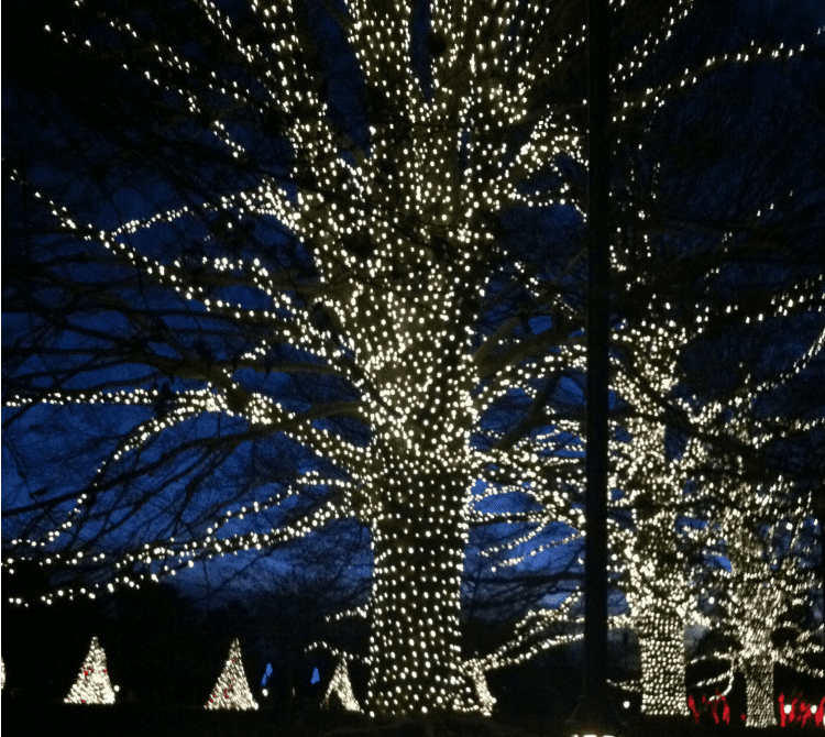 Christmas Lights display at Longwood Gardens via We3Travel.com