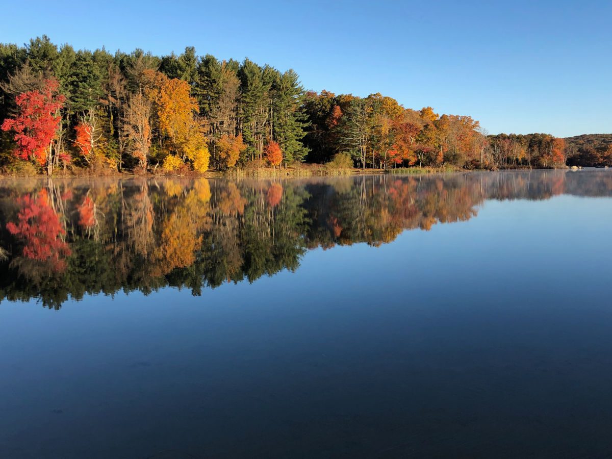 Lincoln Woods trees reflected in pond in fall