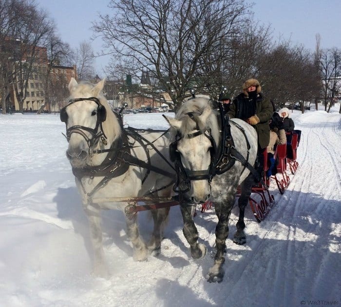 10 Reasons to visit the Quebec Winter Carnival --#7 Go for an old fashioned sleigh ride!