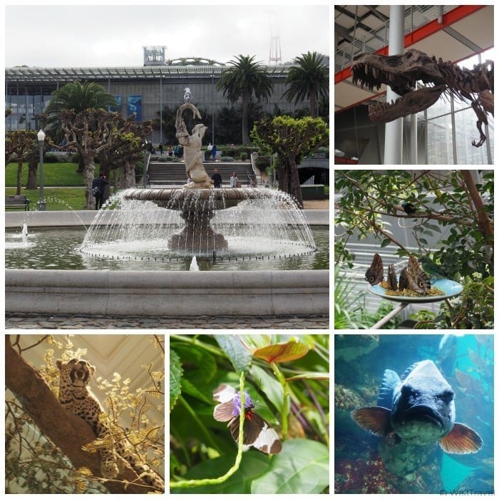 2 Days in San Francisco with kids: A Sample Itinerary. Include a visit to the California Academy of Sciences.