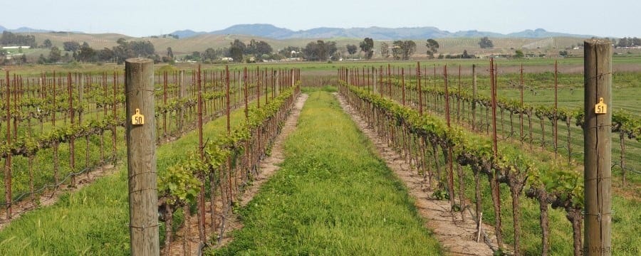 Family friendly wineries in Sonoma California