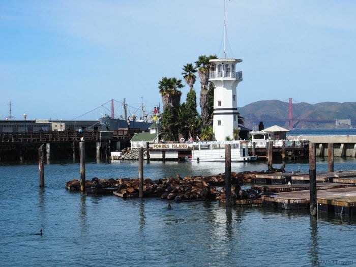 2 Days in San Francisco with Kids -- a sample itinerary of what to do with kids, tweens and teens in San Francisco if you just have two days. A visit to Pier 39 to see the sea lions is a must do for any family trip.