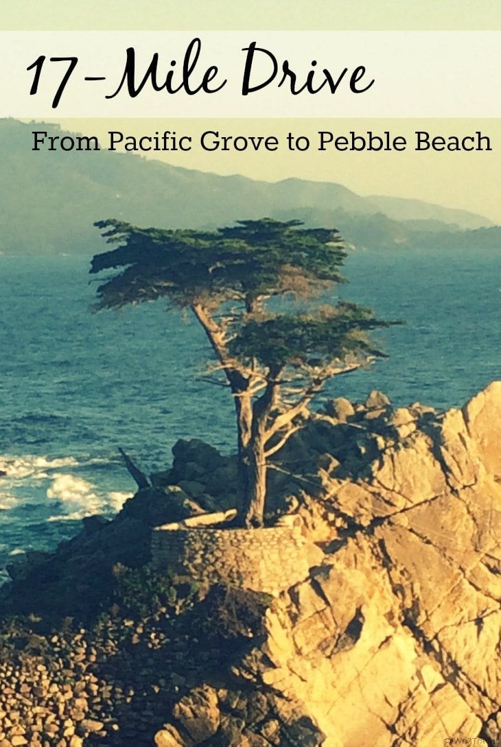 Exploring 17 mile drive: from Pacific Grove to Pebble Beach, California