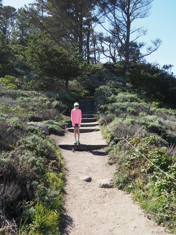 What to do in Carmel with Kids -- visit Point Lobos State Park for a day of hiking, picnicking and wildlife sighting.