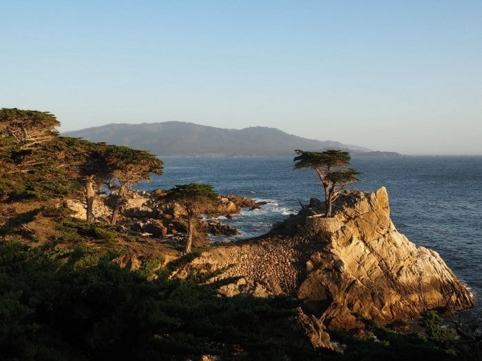 A Day on Monterey: be sure to leave time for a drive along 17 mile drive for beautiful views, seal sightings, and the famous Lone Cypress.