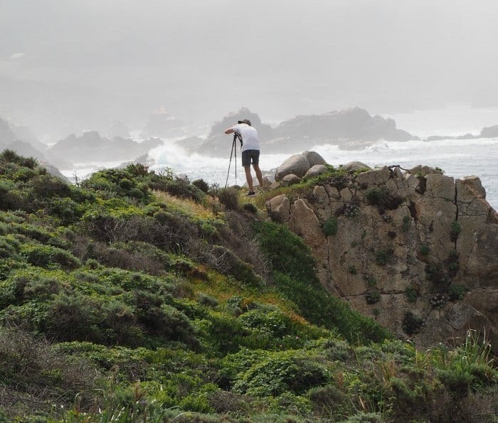 Tips for driving Highway One on the California Coast