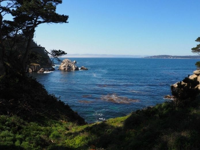 What to do in Carmel with Kids -- visit Point Lobos State Park for a day of hiking, picnicking and wildlife sighting.