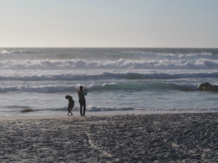 Taking 17-mile drive through Pebble Beach while driving through Coastal California