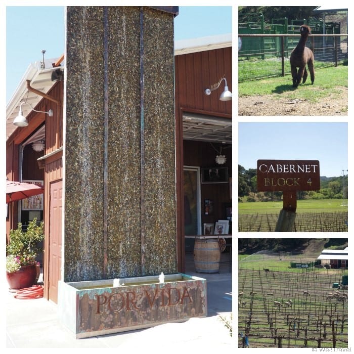 Family-friendly wineries in Paso Robles CA -- Oso Libre Winery was so much fun with farm animals, dogs to greet you, lawn games and a lovely outdoor tasting experience.