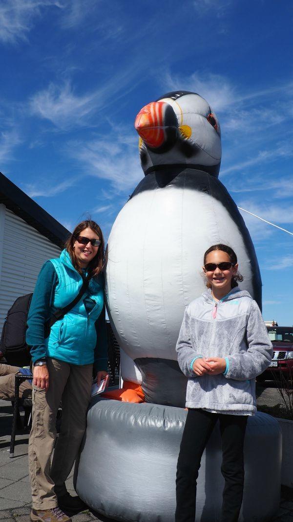 Puffin watching tours in Iceland