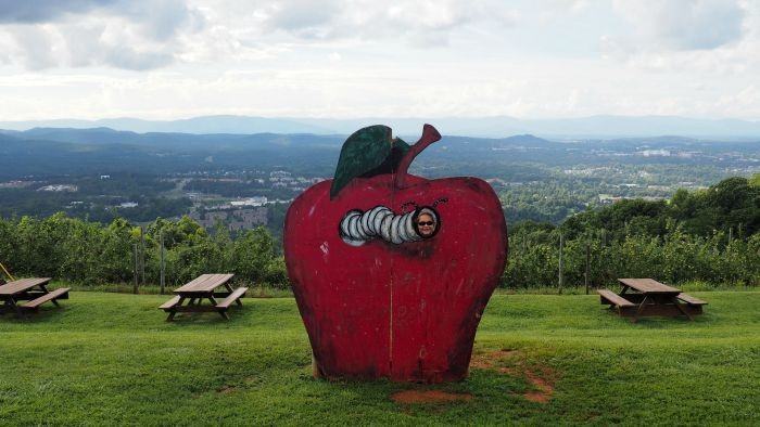 Carter Mountain Orchard in Charlottesville -- What to do on a road trip through Virginia with Kids