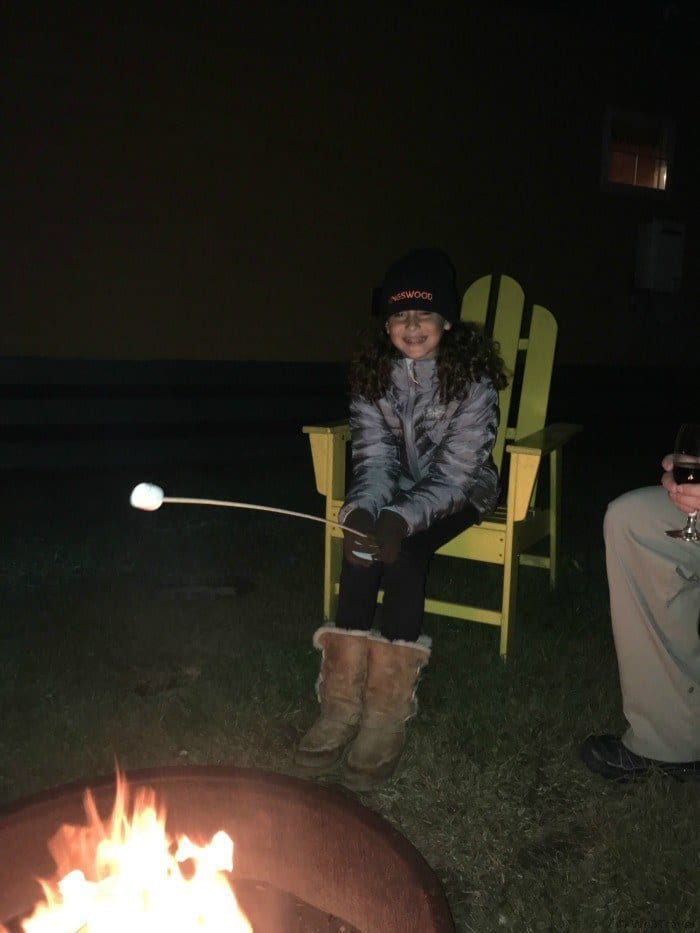 Roasting marshmallows by the fire