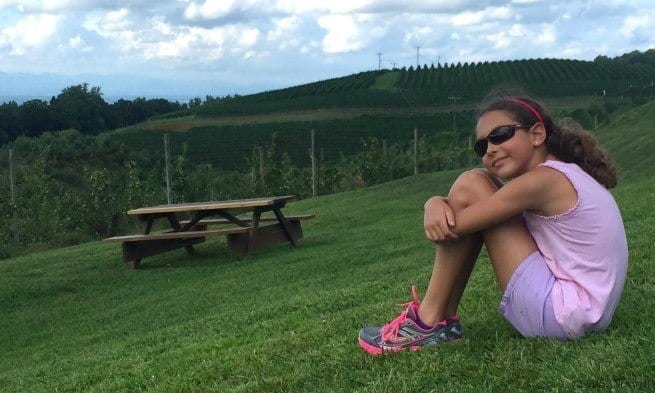 What to do in Charlottesville VA with kids -- take in the view and the sunset at Carter Mountain Orchard