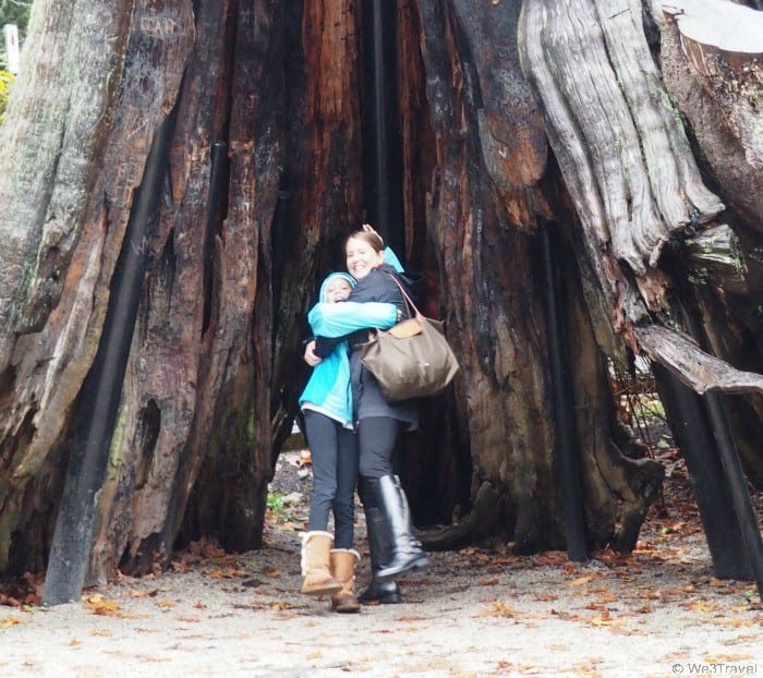 Hollow cedar tree in Stanley Park -- things to do in Vancouver for kids (in the rain)