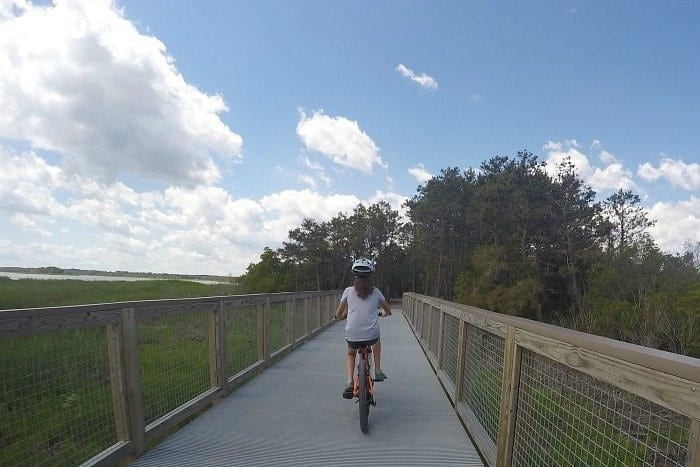 Biking in Cape Henlopen State Park Rehoboth Beach Delaware