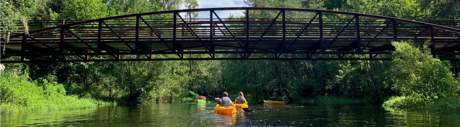 Kayaking on Shingle Creek