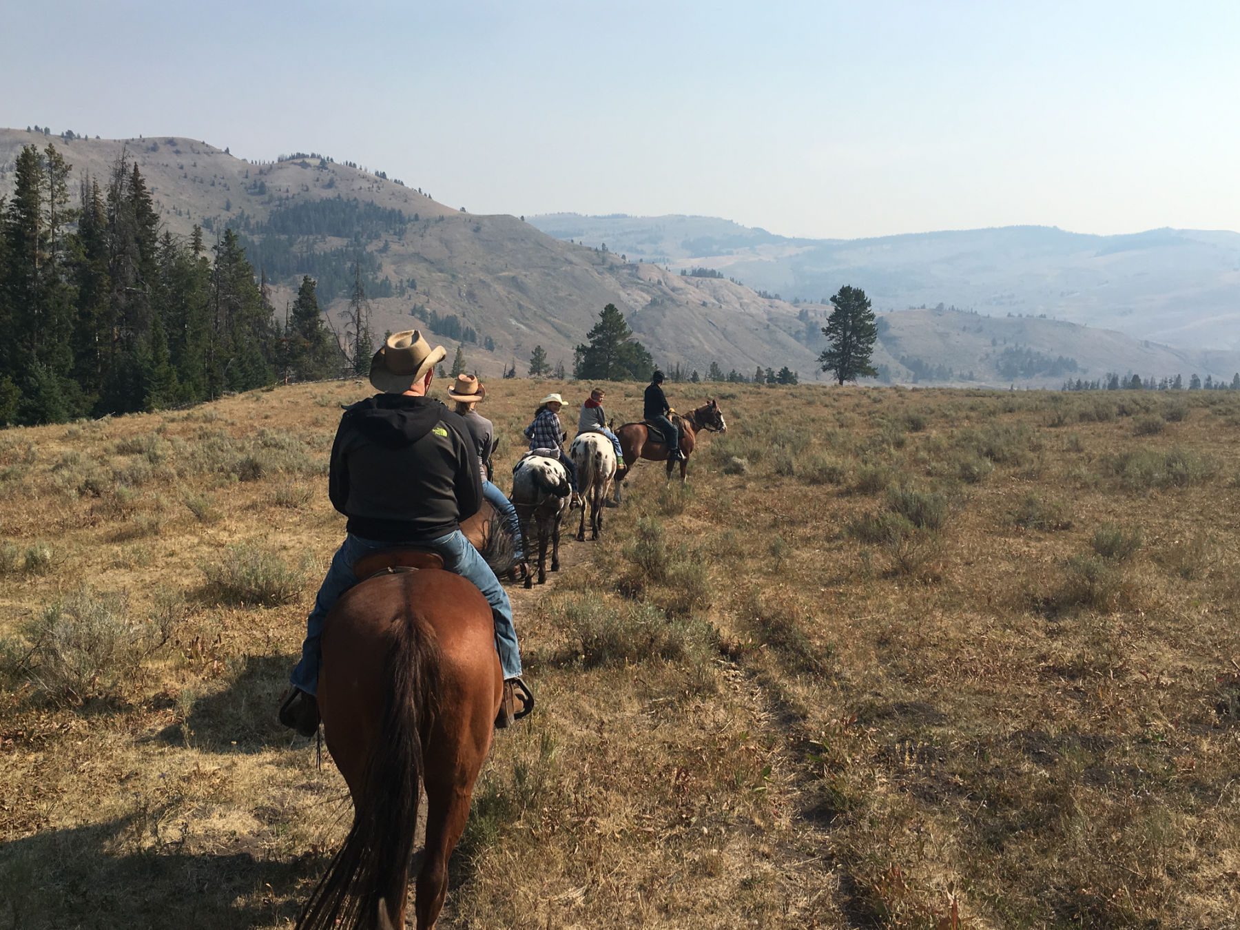 Line of riders on horseback on mountain in Montana