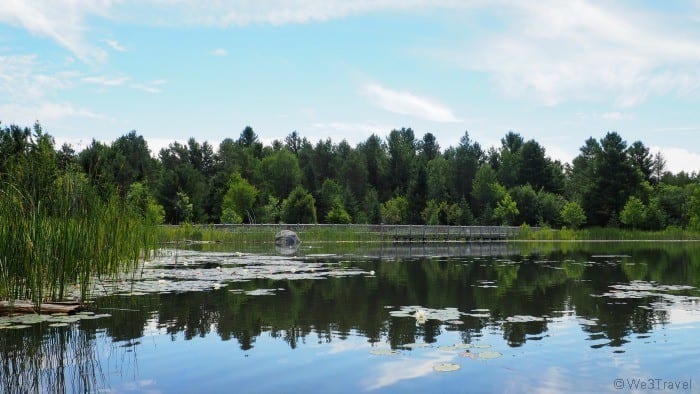 Wild Center pond in Tupper Lake NY