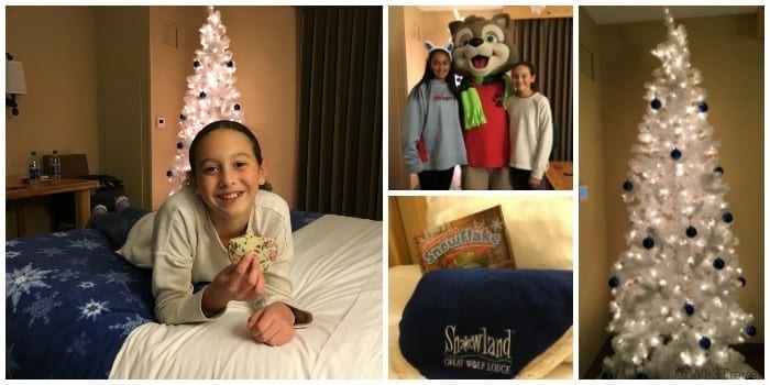 Snowland suite at the Great Wolf Lodge