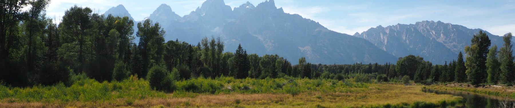 Schwabacher Landing what to do in Grand Tetons