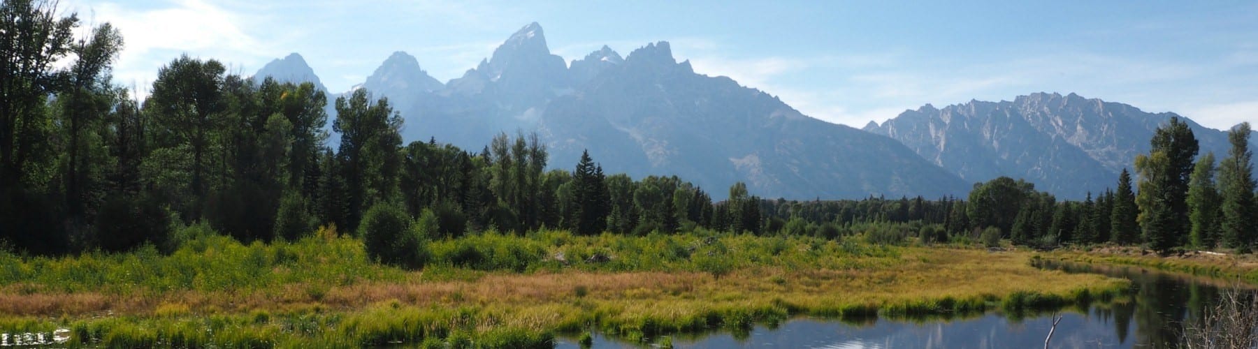 Schwabacher Landing what to do in Grand Tetons