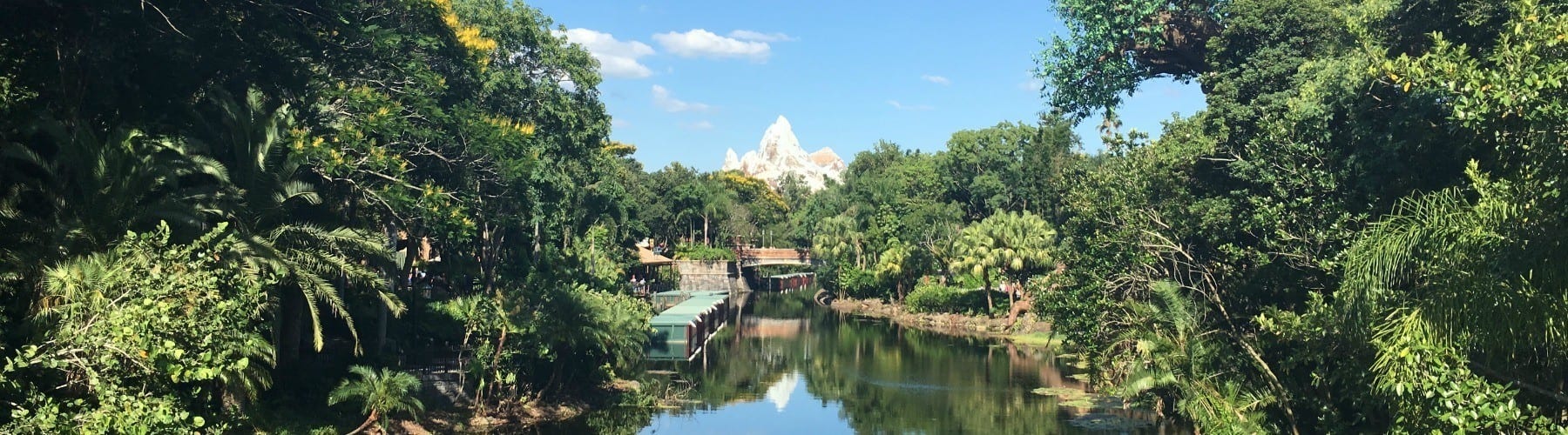 Are Disney VIP tours worth it