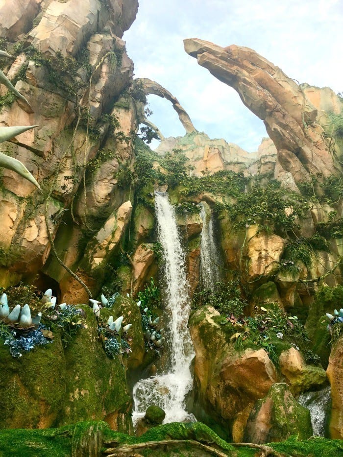 Avatar Flight of Passage best ride in Disney