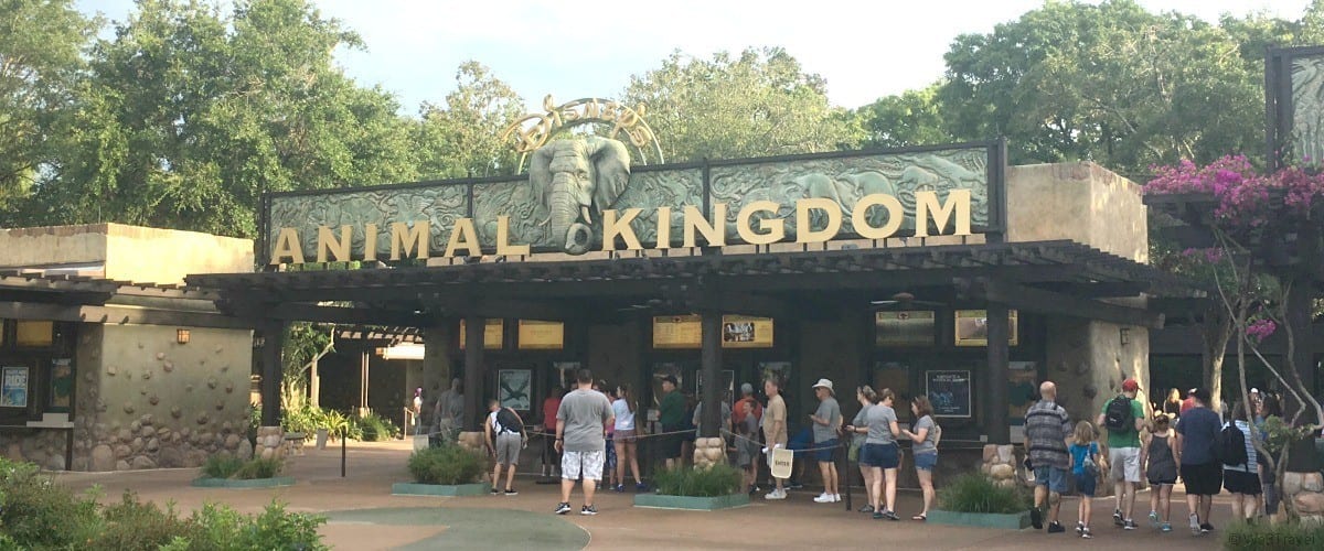 Disney Pandora Animal Kingdom