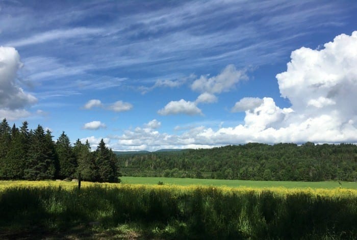 off roading trails in New Hampshire