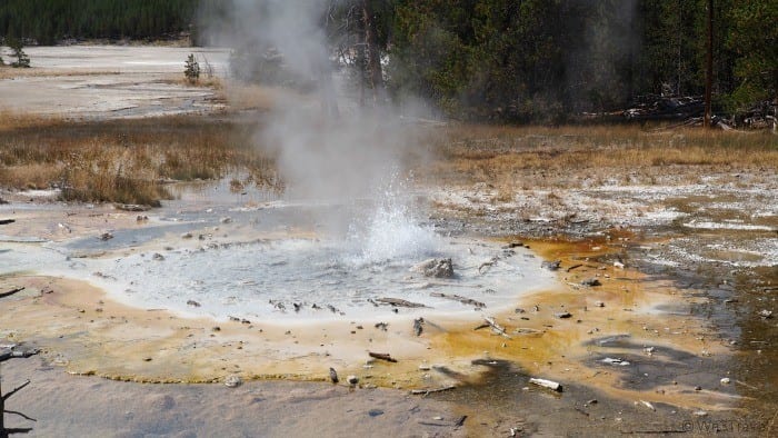 Norris Geyser Basin Yellowstone