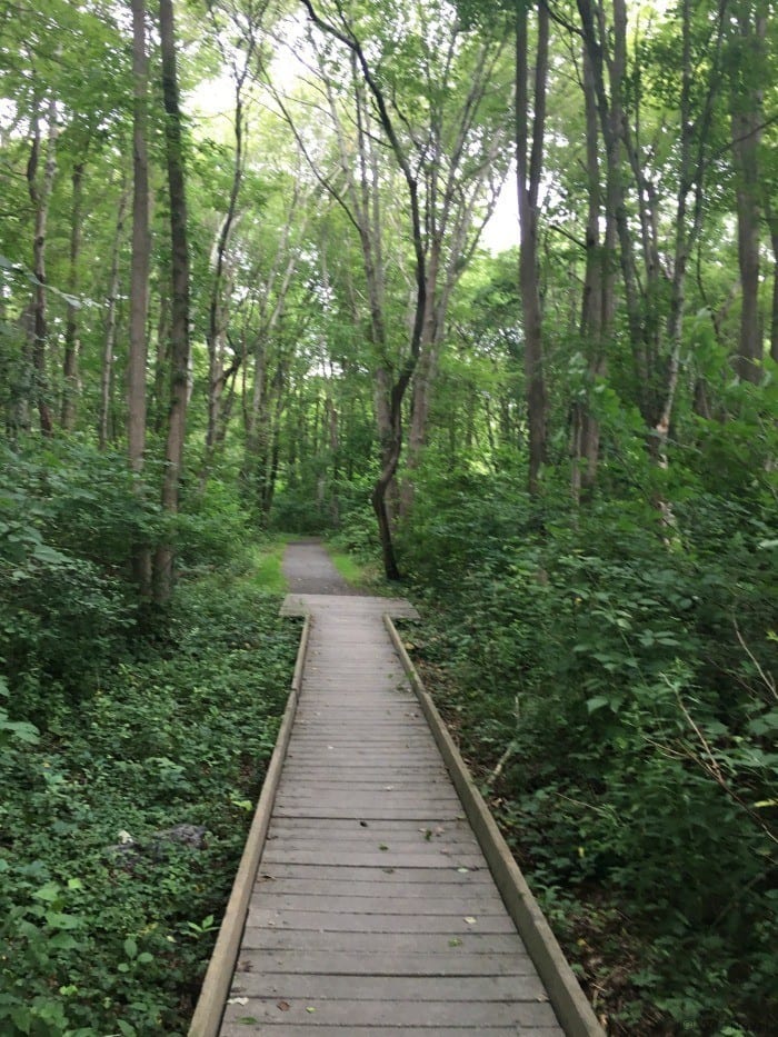 Hiking trails on the Norman Bird Sanctuary