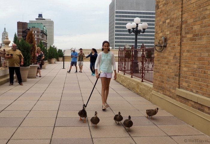 Peabody Memphis ducks on roof