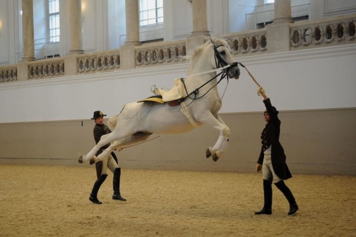  École d'Équitation Espagnole 