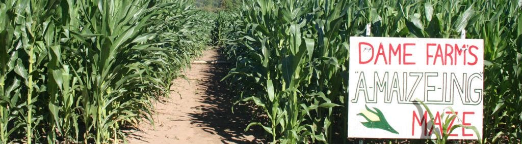 Best corn mazes in Rhode Island