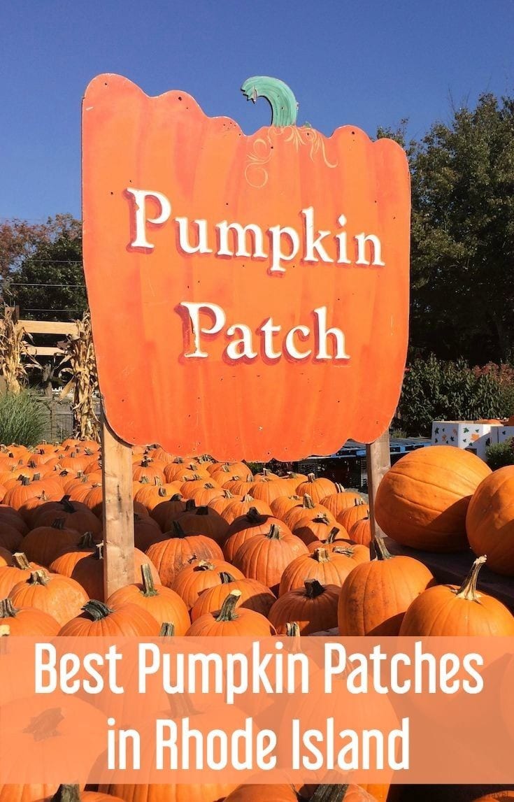 Best pumpkin patches in Rhode Island for pumpkin picking