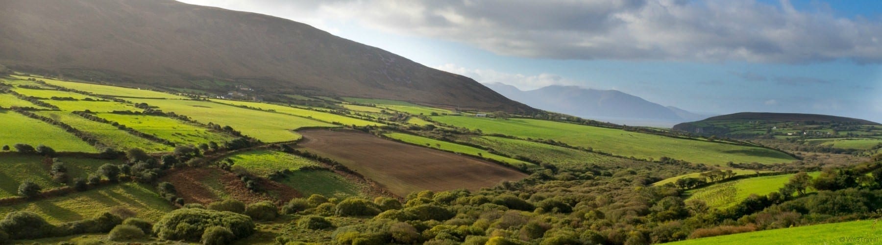 Ireland travel tips Dingle fields
