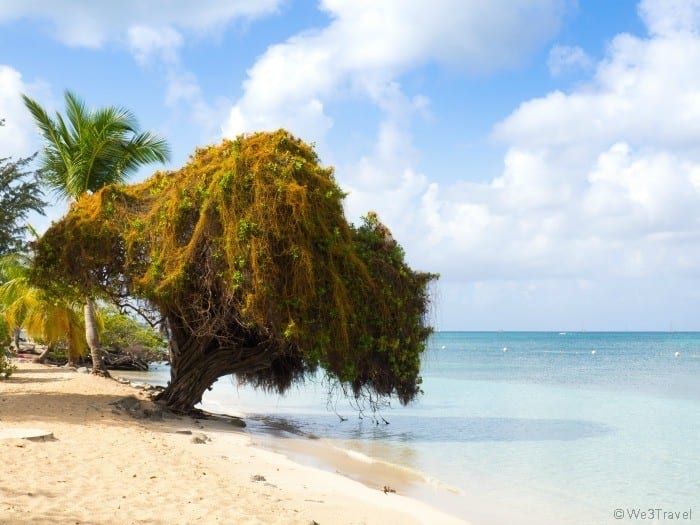 Martinique vacation Club Med Buccaneer's Creek