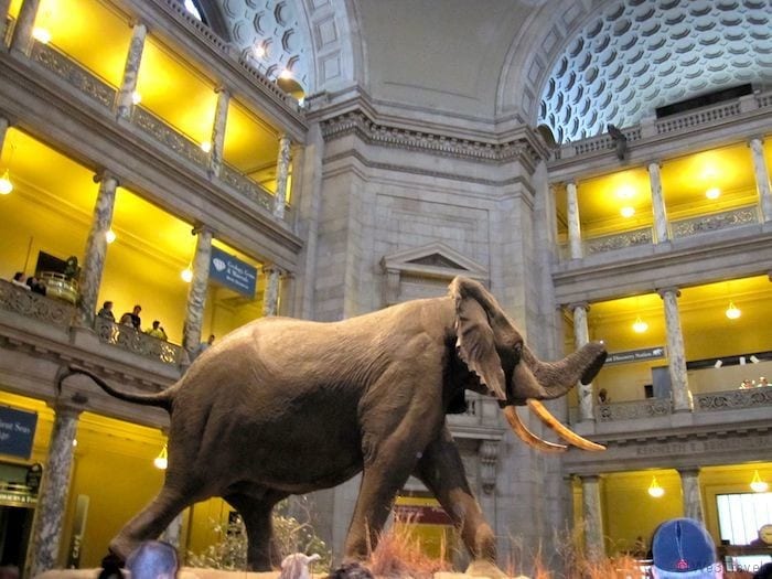 Museum of Natural History