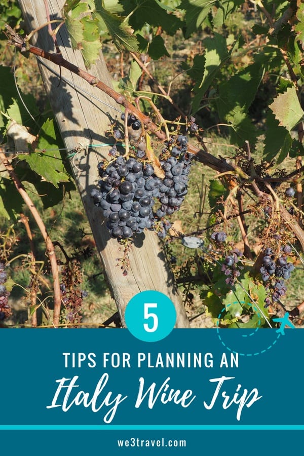 5 tips for planning an Italy wine trip #italy #wine #winetasting #winetour 