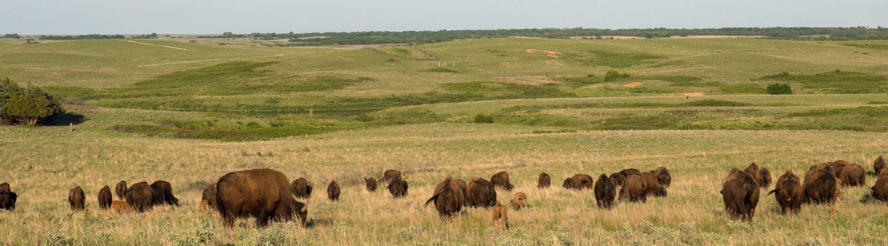 Maxwell Wildlife Refuge Lindsborg KS