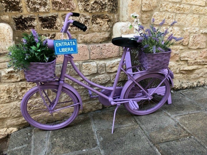 Assisi bike