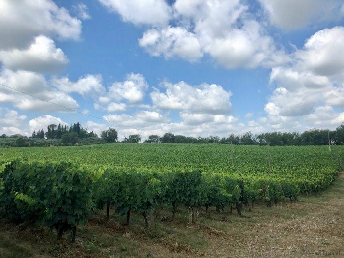 Podere Boscarelli vineyard