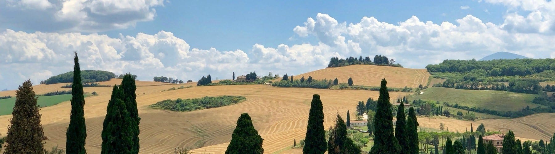 Tuscany wine tours with Tuscan Organic Tours