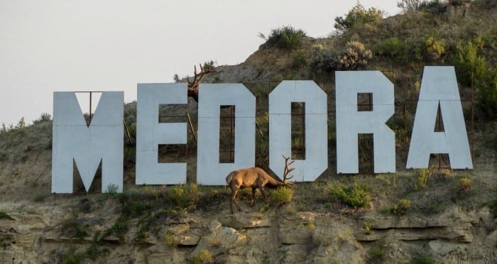 Medora sign with elk