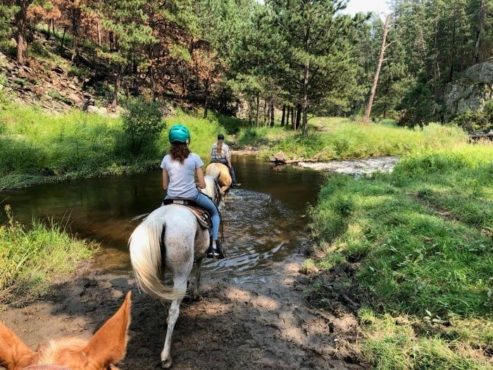 Blue Bell stables horseback riding in the Black Hills